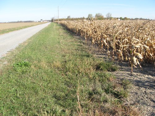 Property photo 9 - 65+/- Acres Offered in 2 Tracts